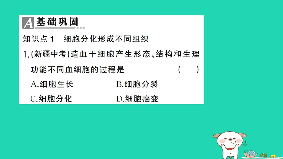 17325140第2页