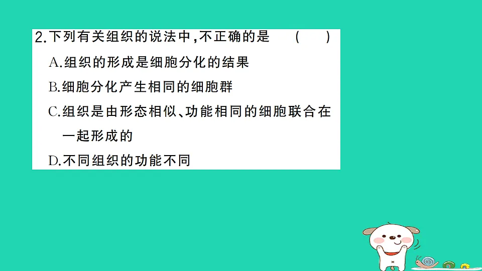17325140第3页