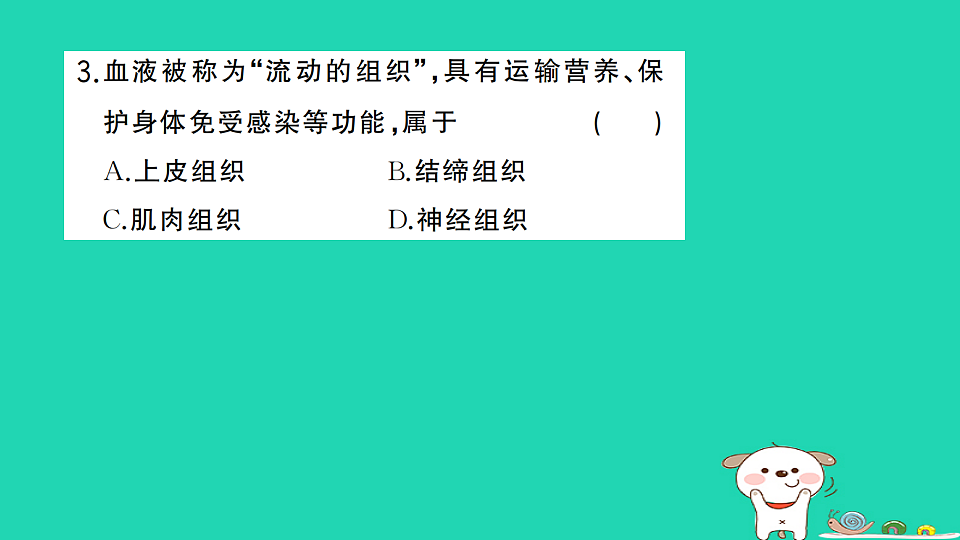 17325140第4页