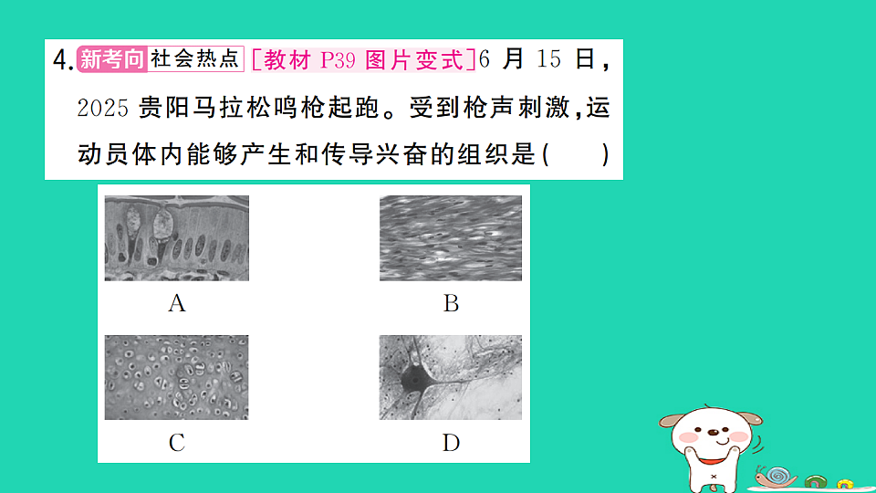 17325140第5页