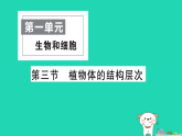 2025七年级生物上册第一单元生物和细胞第三章从细胞到生物体第三节植物体的结构层次作业课件新版新人教版（含答案）