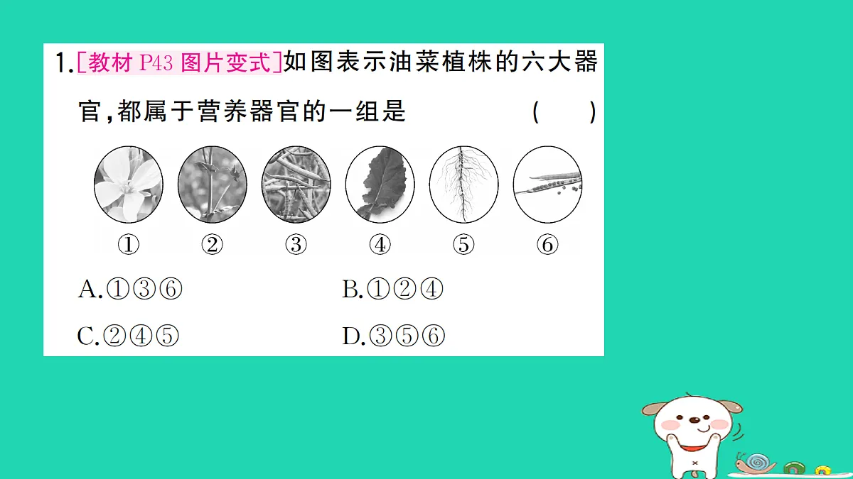 17325141第2页
