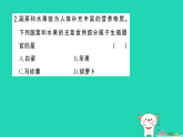 2025七年级生物上册第一单元生物和细胞第三章从细胞到生物体第三节植物体的结构层次作业课件新版新人教版（含答案）