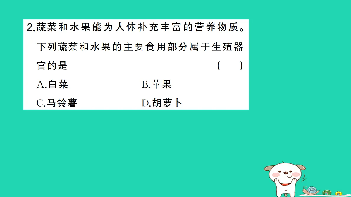 17325141第3页