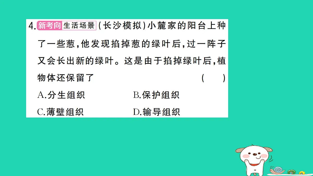 17325141第5页