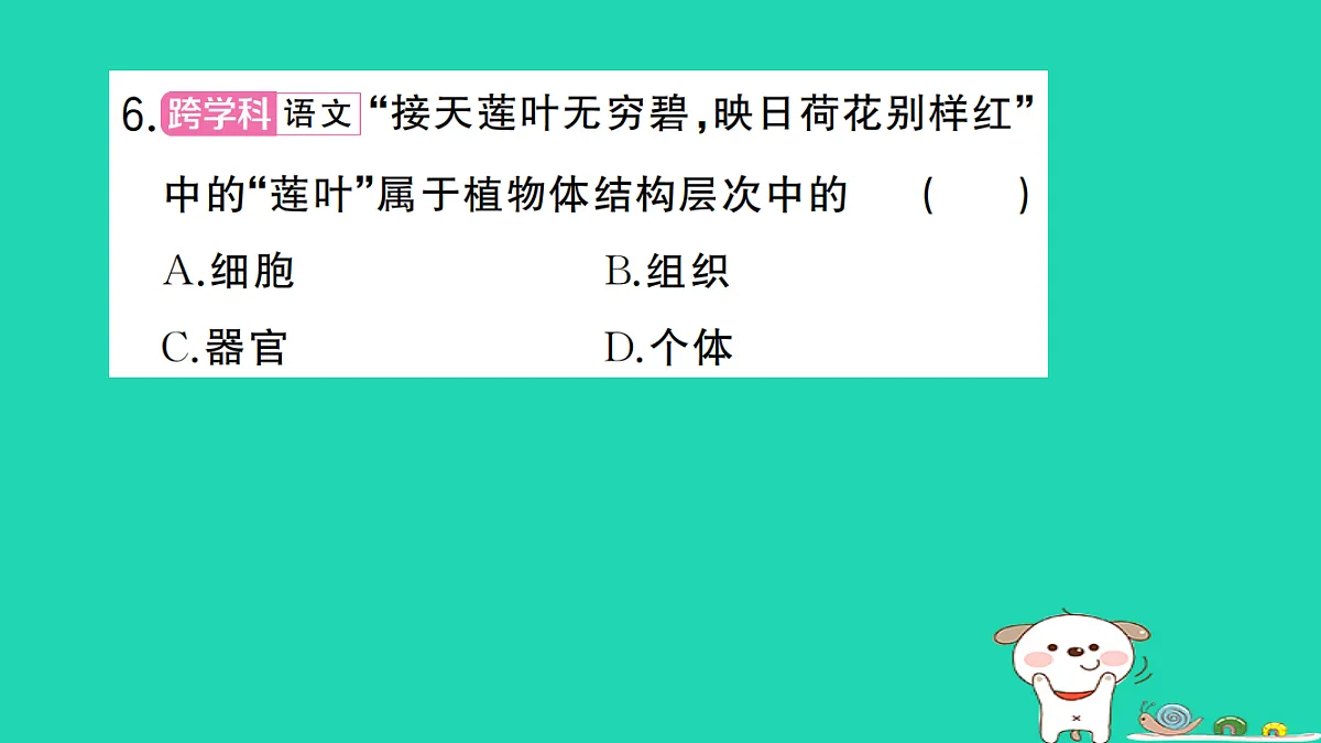 17325141第7页