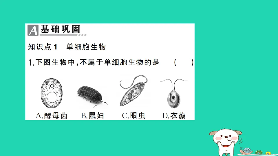 17325142第2页