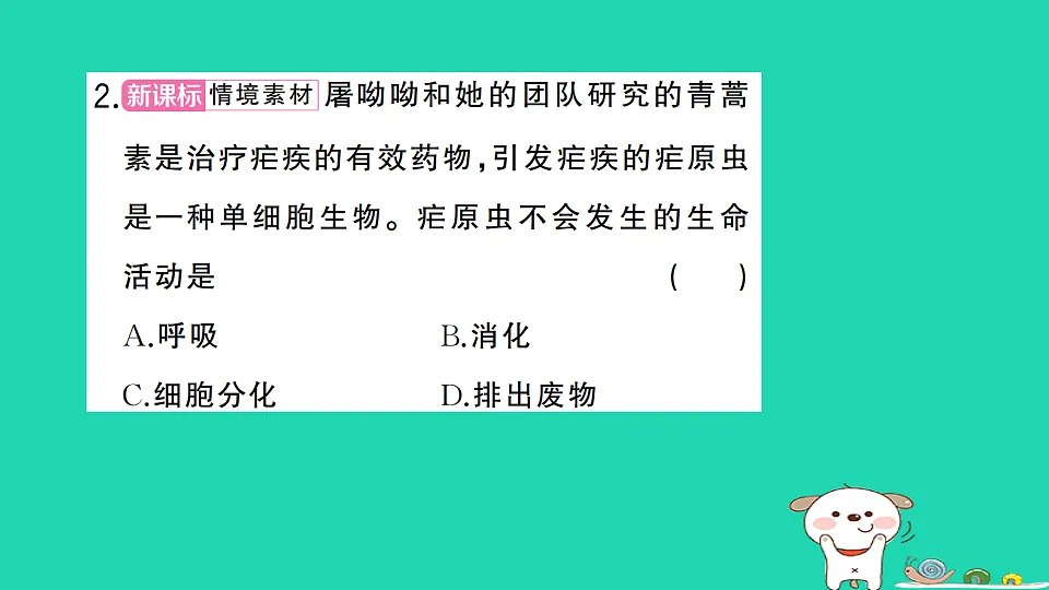 17325142第3页