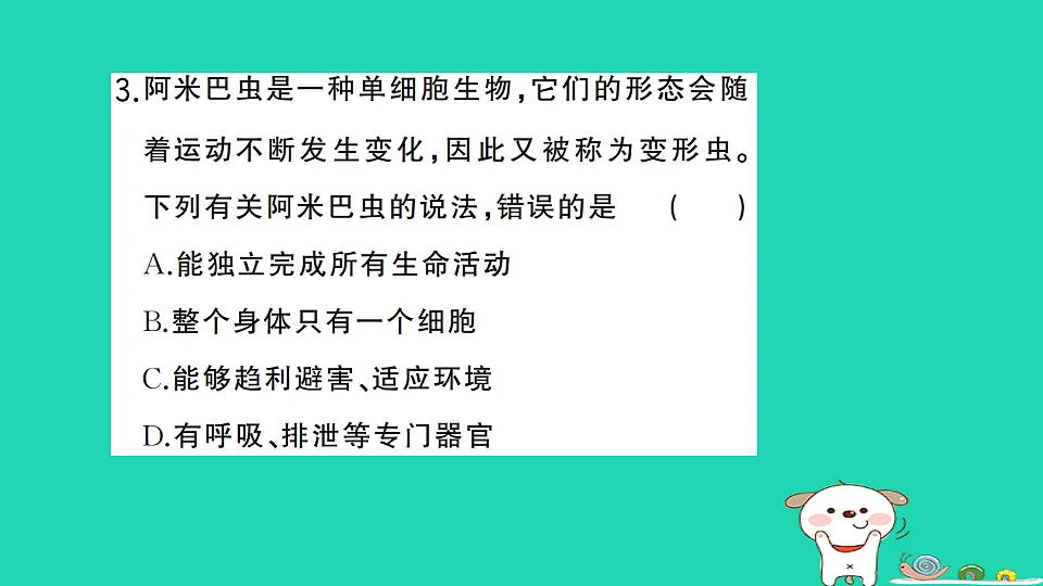 17325142第4页