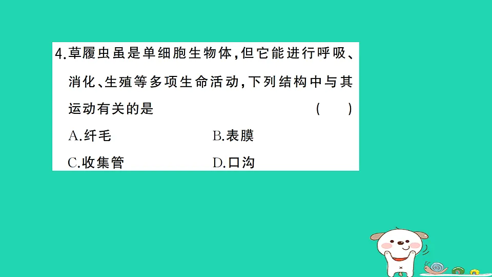 17325142第5页