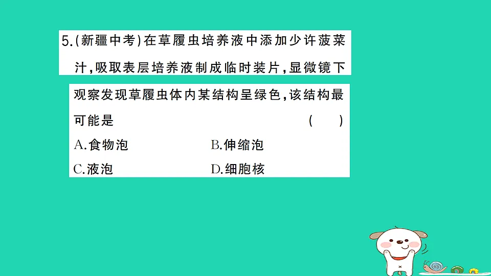 17325142第6页