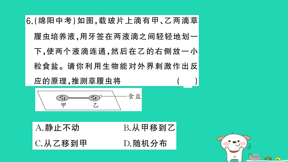 17325142第7页