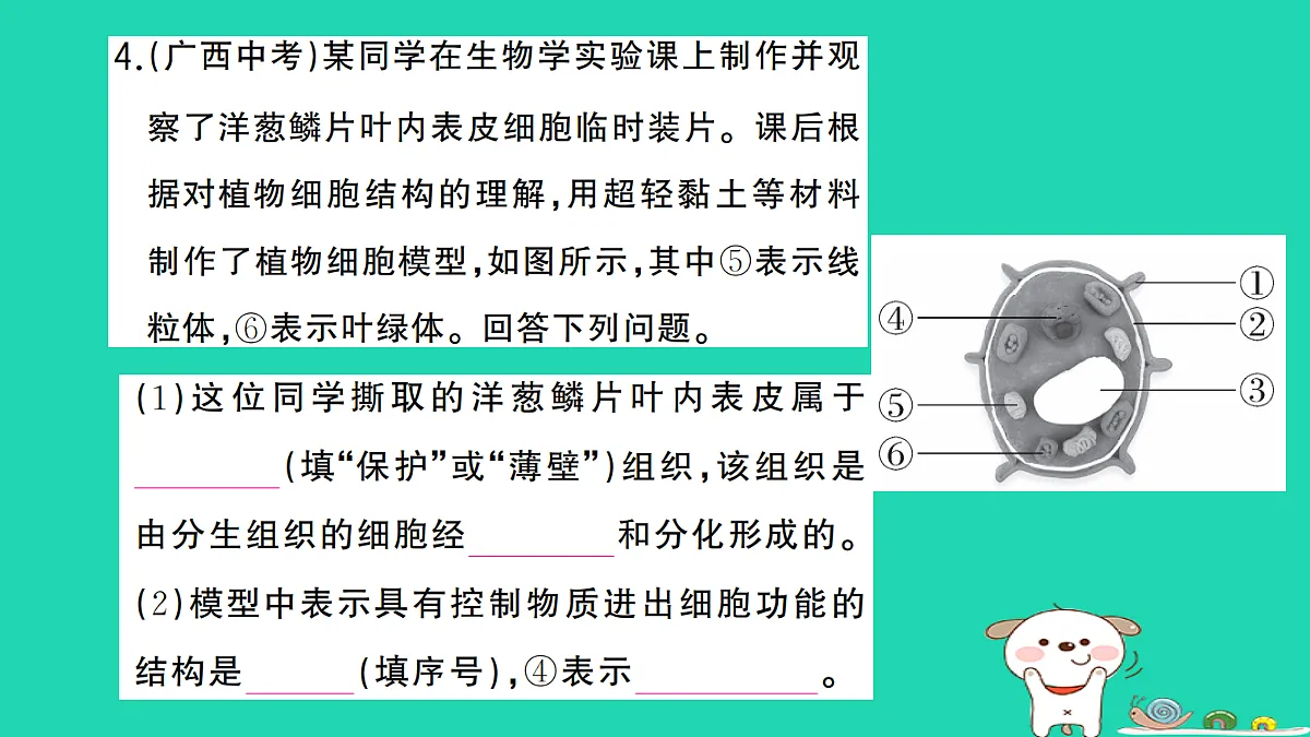 17325143第5页