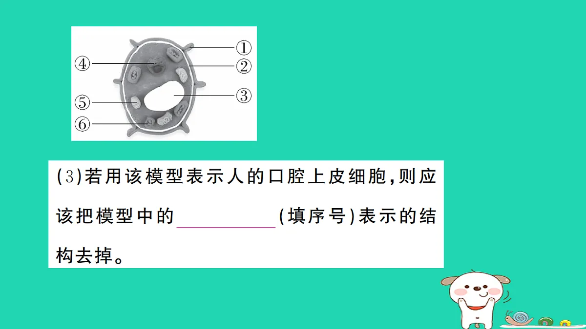 17325143第6页