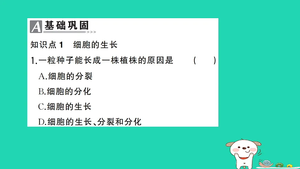 17325144第2页