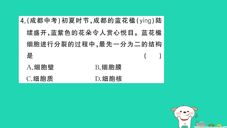 17325144第5页