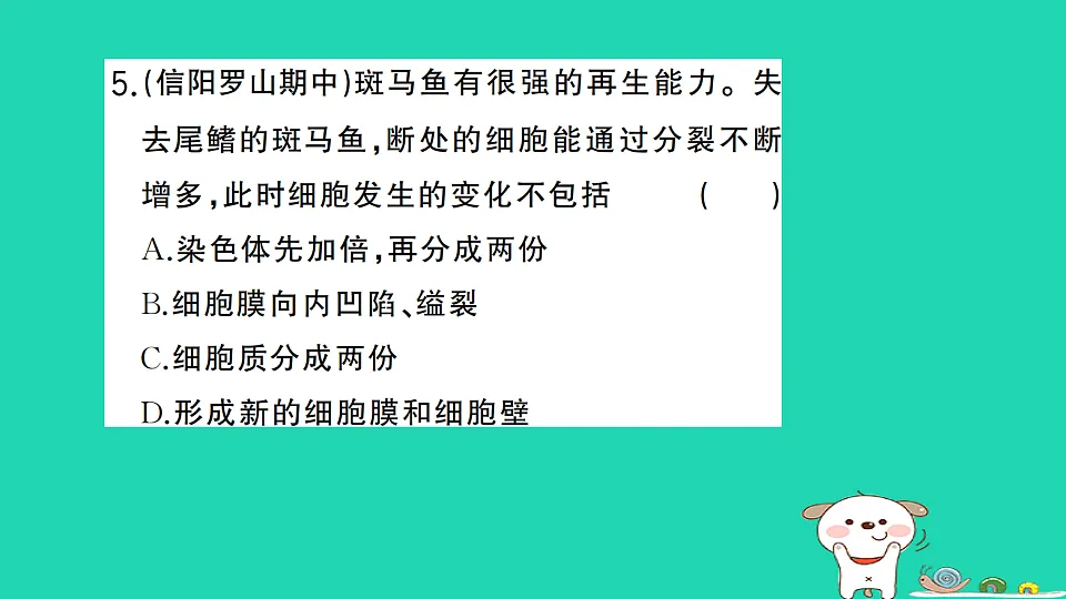17325144第6页