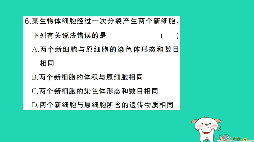 17325144第7页