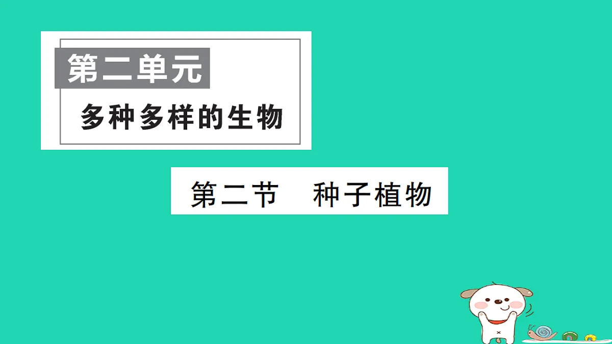 17325145第1页