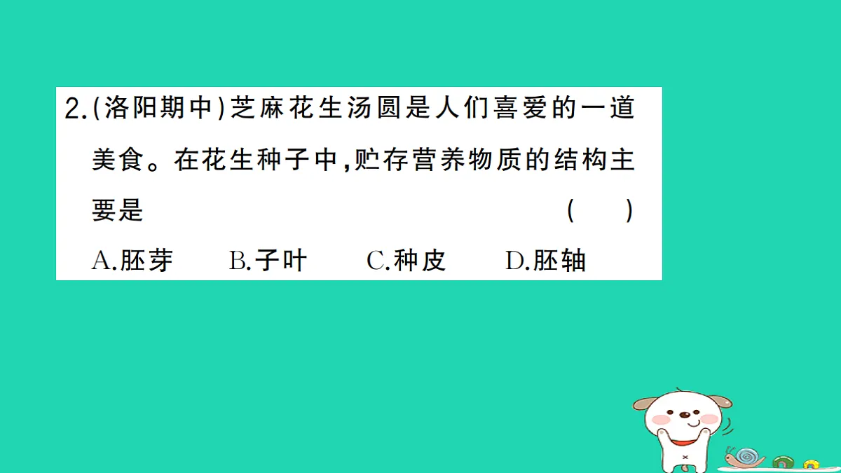 17325145第3页