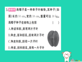 2025七年级生物上册第二单元多种多样的生物第一章藻类与植物的类群第二节种子植物作业课件新版新人教版（含答案）