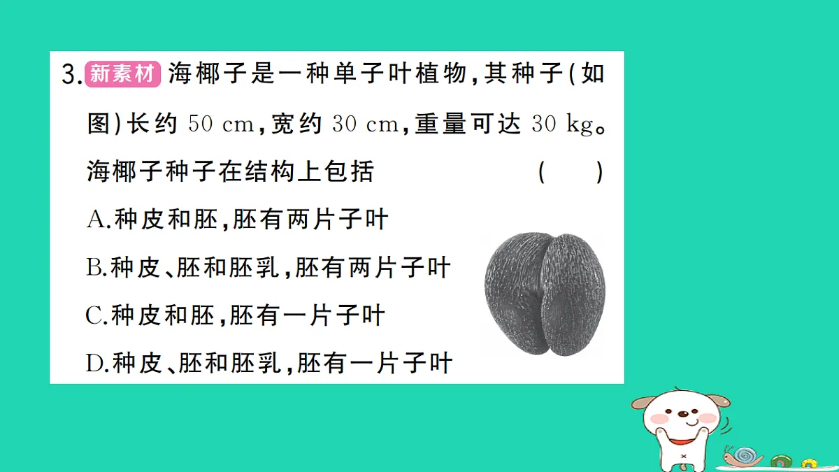 17325145第4页