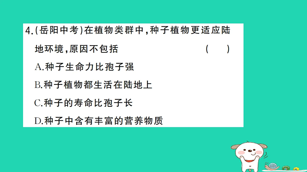 17325145第5页