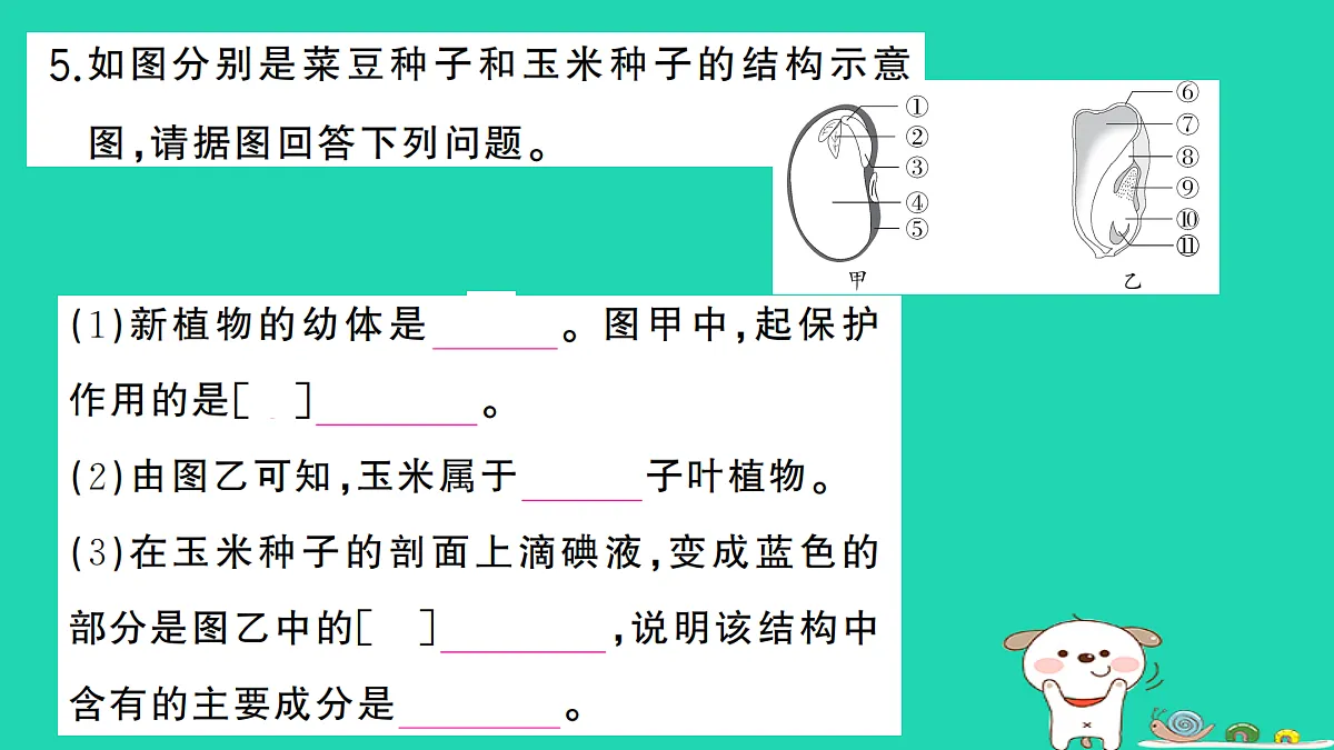 17325145第6页