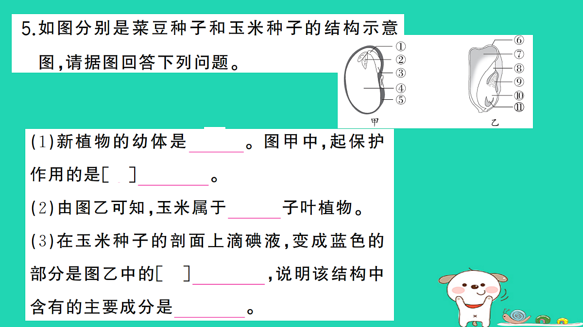 17325145第6页