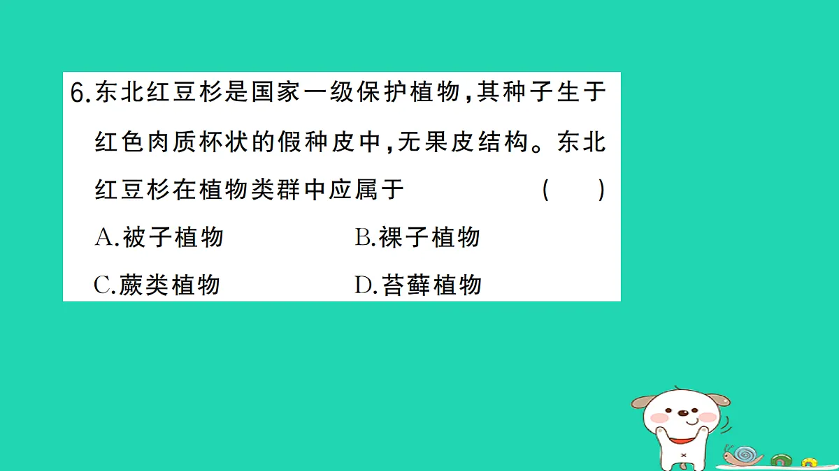 17325145第7页