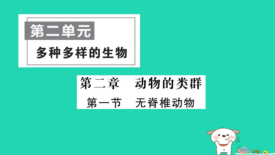17325146第1页