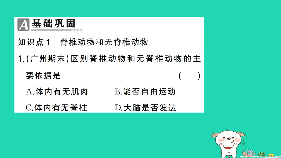 17325146第2页