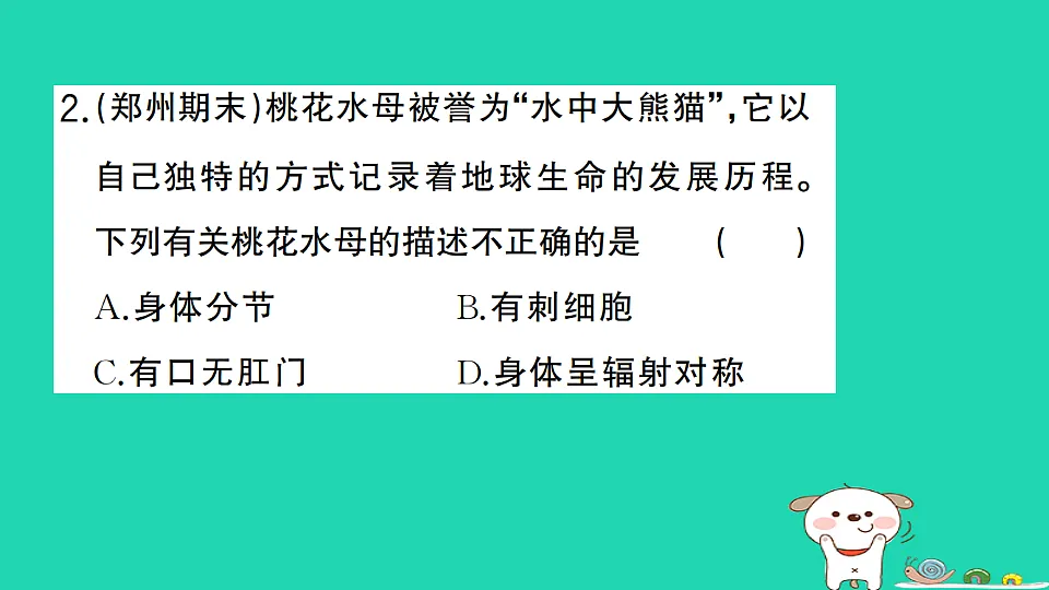 17325146第3页