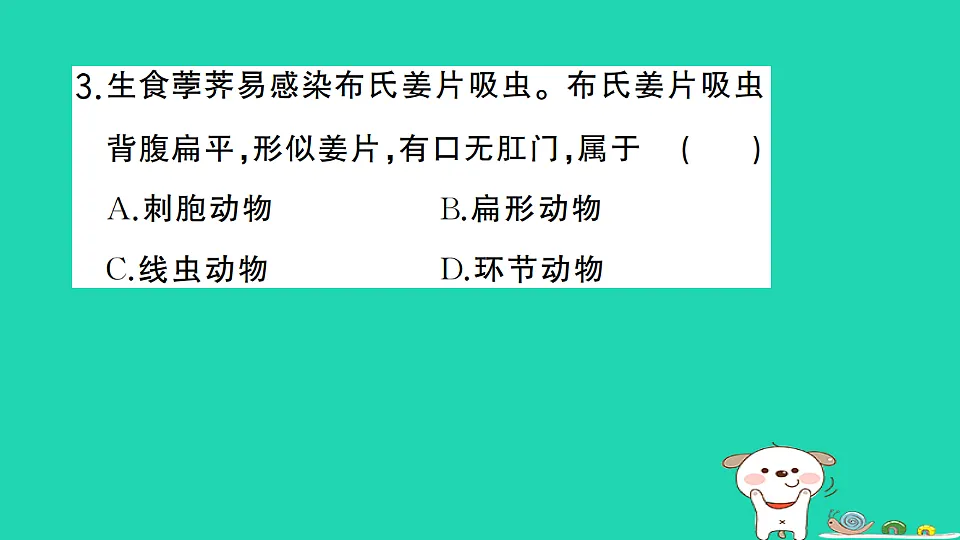 17325146第4页
