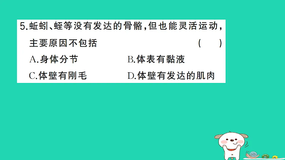 17325146第6页