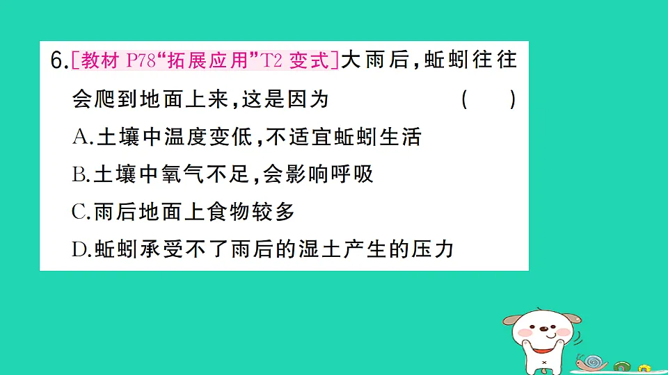 17325146第7页