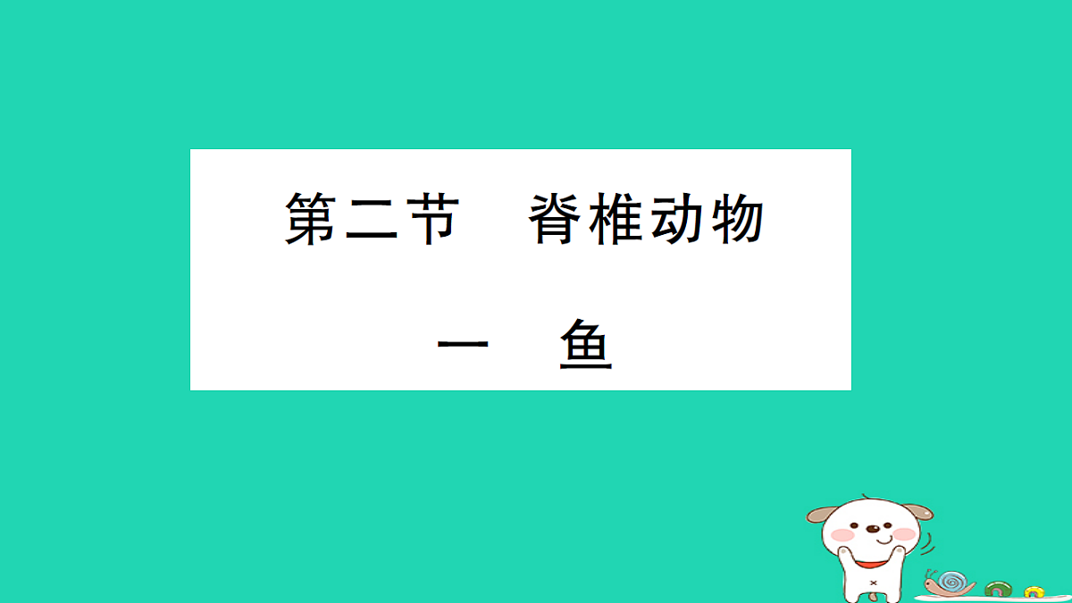 17325147第1页
