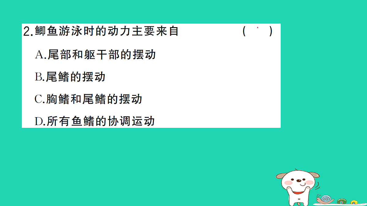 17325147第3页