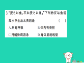 2025七年级生物上册第二单元多种多样的生物第二章动物的类群第二节脊椎动物鱼作业课件新版新人教版（含答案）