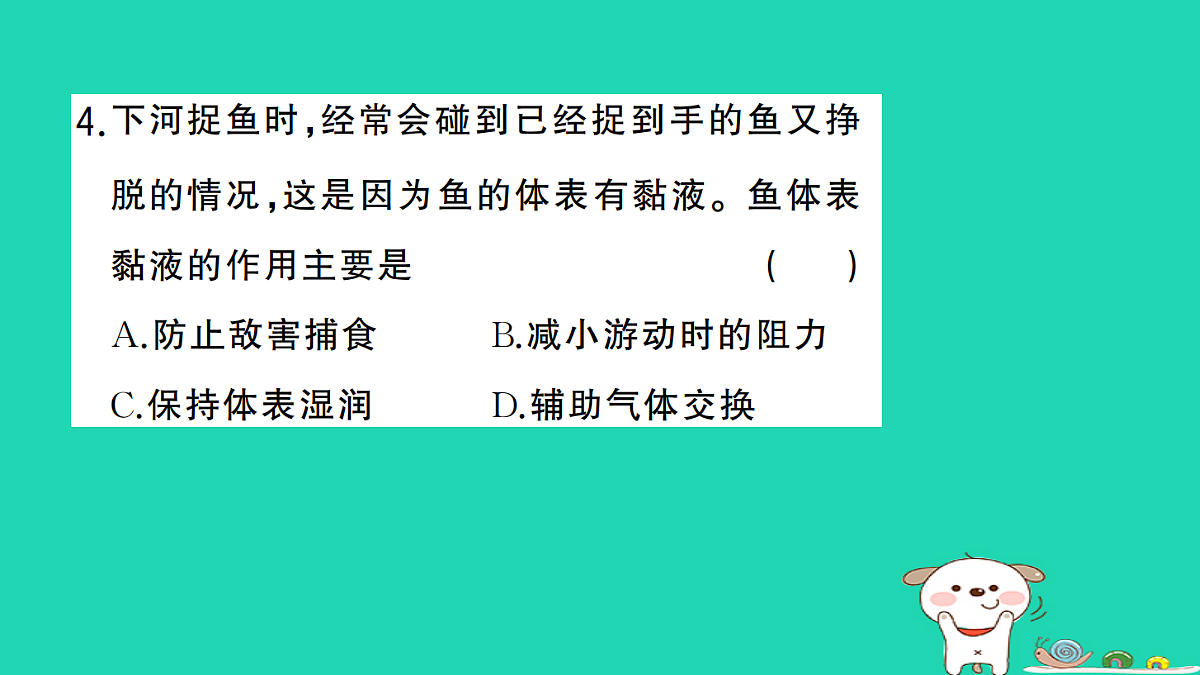 17325147第5页