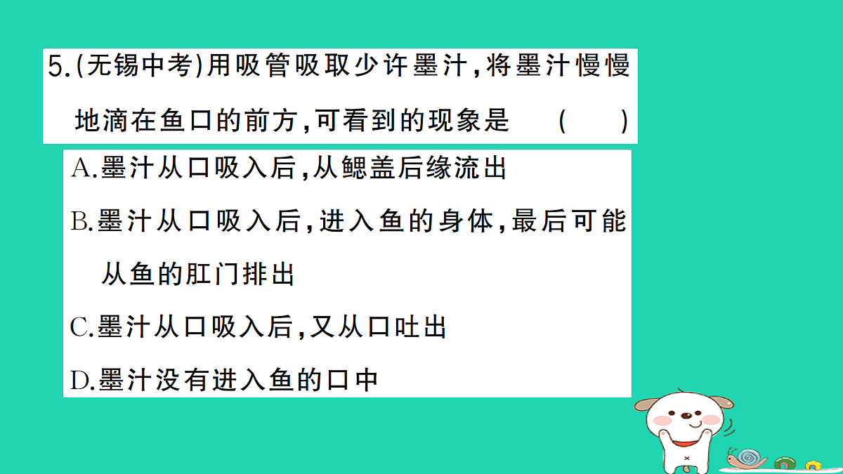 17325147第6页