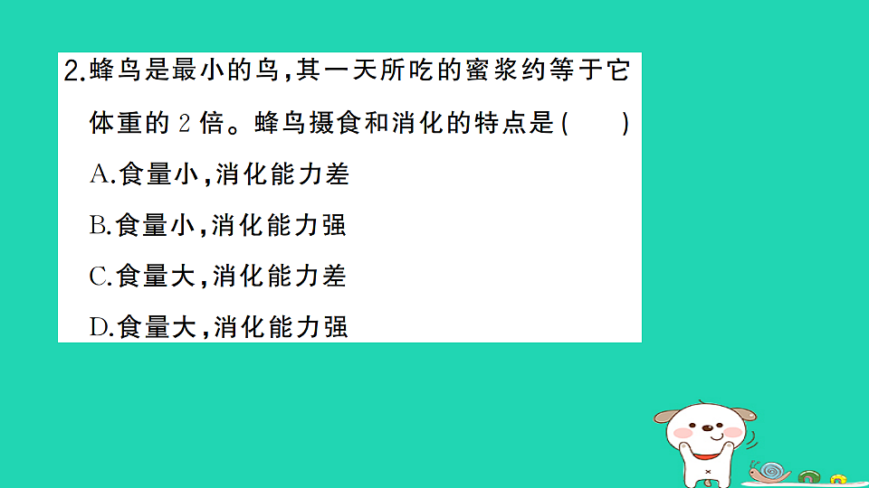 17325148第3页