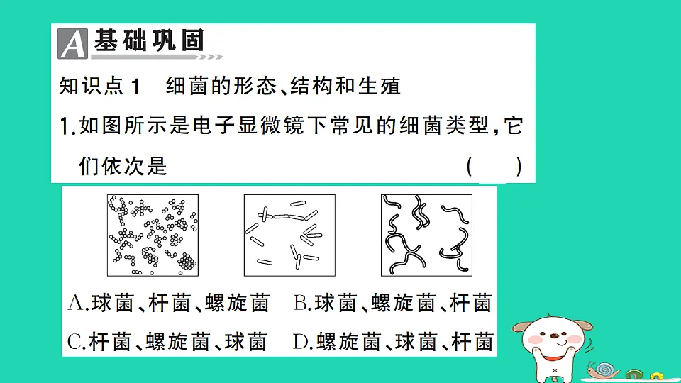 17325150第2页