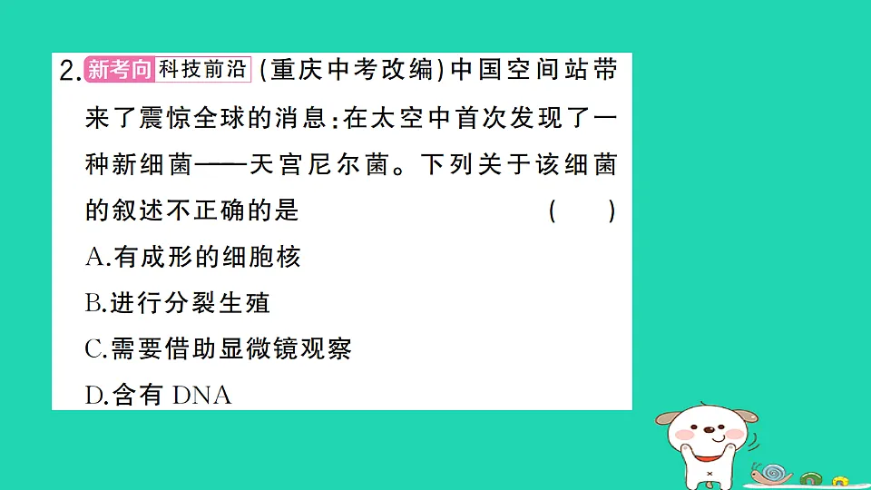 17325150第3页