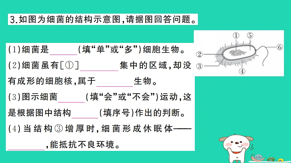 17325150第4页