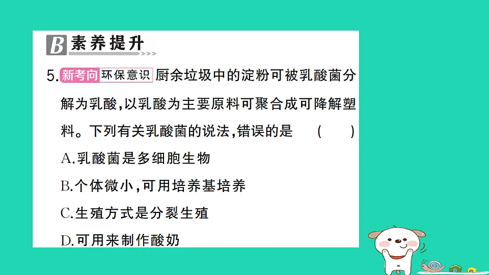 17325150第6页