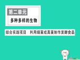 2025七年级生物上册第二单元第三章微生物综合实践项目利用细菌或真菌制作发酵食品作业课件新版新人教版（含答案）