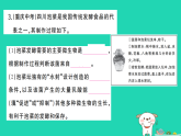 2025七年级生物上册第二单元第三章微生物综合实践项目利用细菌或真菌制作发酵食品作业课件新版新人教版（含答案）