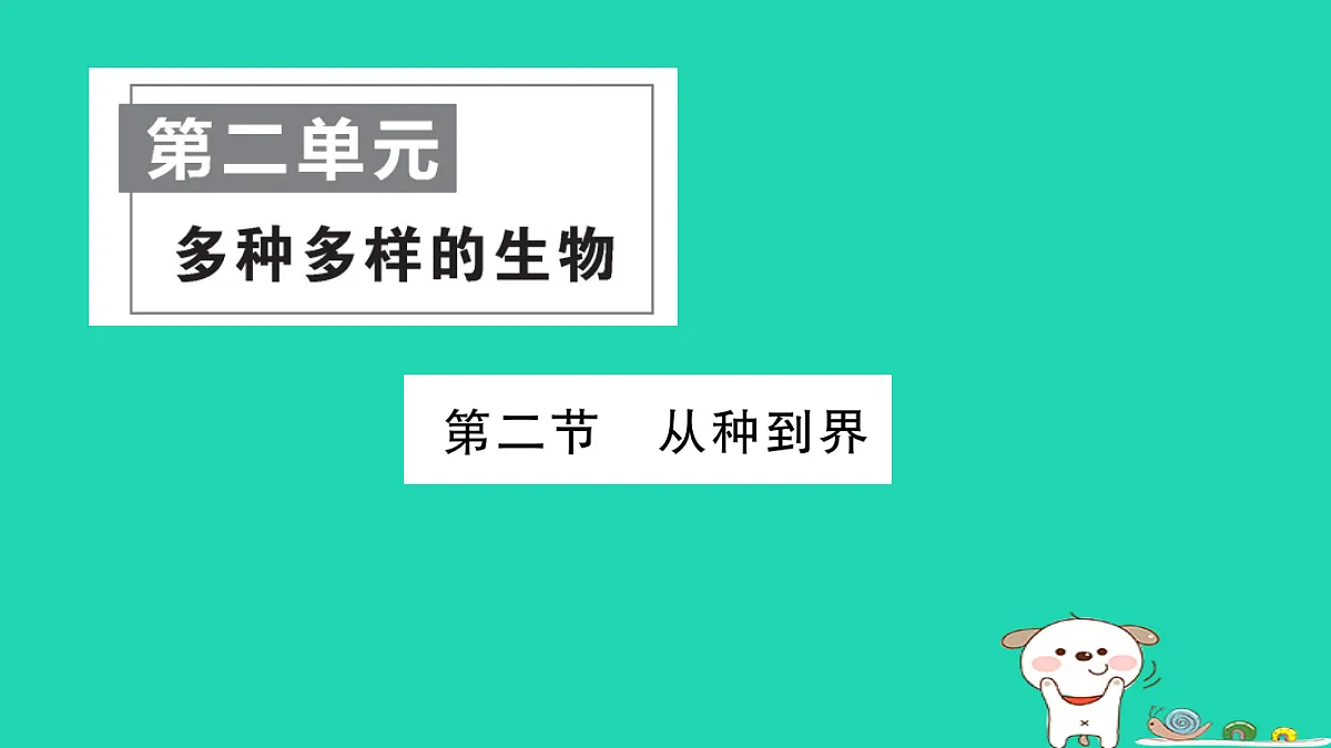 17325153第1页