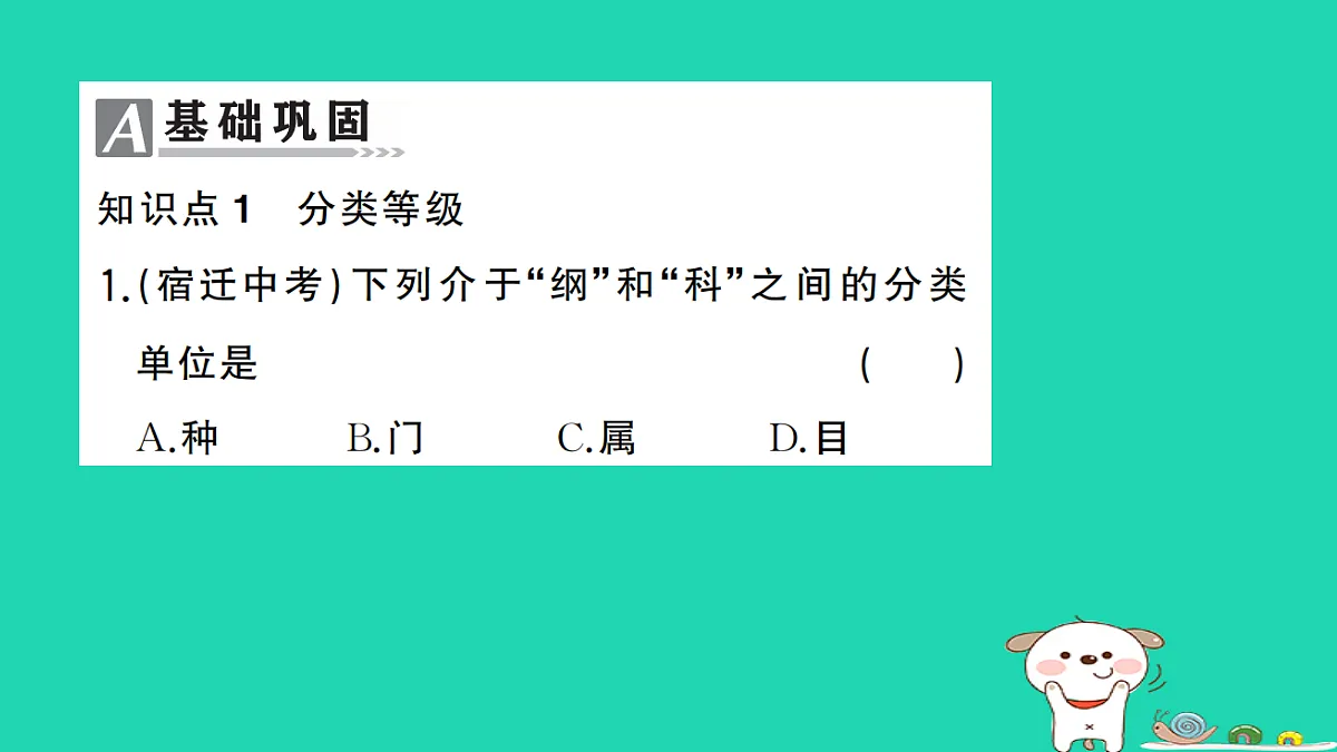 17325153第2页